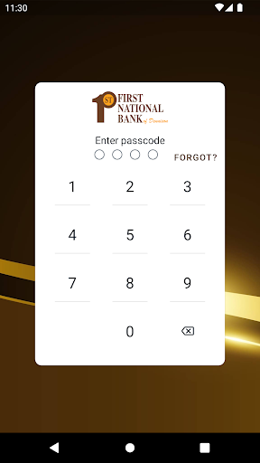 Android application FNB Dennison screenshort