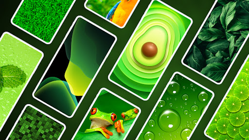 Android application Green Wallpapers 4K screenshort