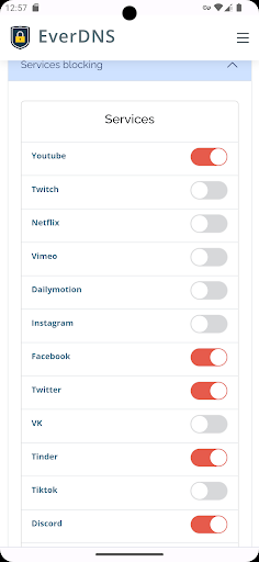 EverDNS - Parental control Screen 3