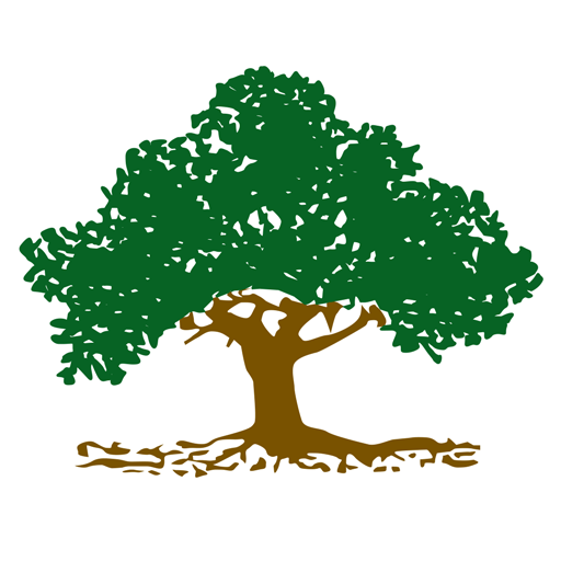 1stbago Mobile Banking logo