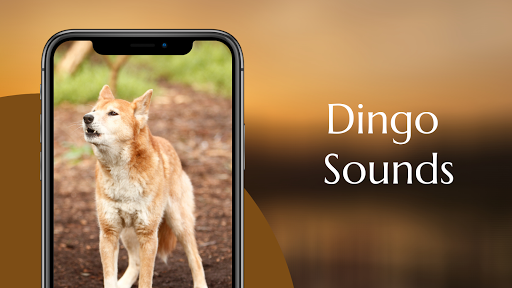 Dingo sounds Screen 2