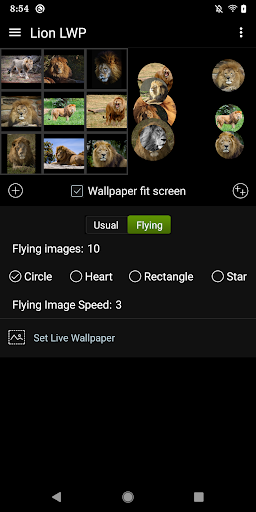 Android application Lion LWP screenshort