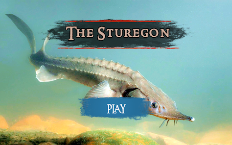 Imágen 18 The Sturegon android