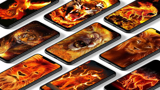 Fire Wallpaper - Fire Lion, Wolf  Tiger