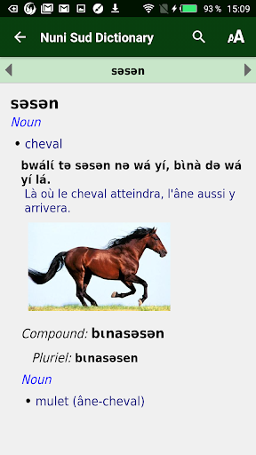 Nuni dictionnaire Screen 3