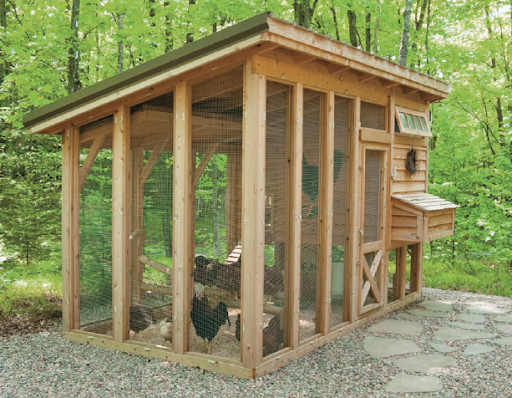 Chicken Coop