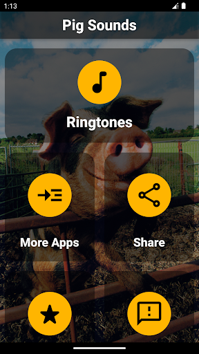 Android application Pig Sounds & Ringtones screenshort