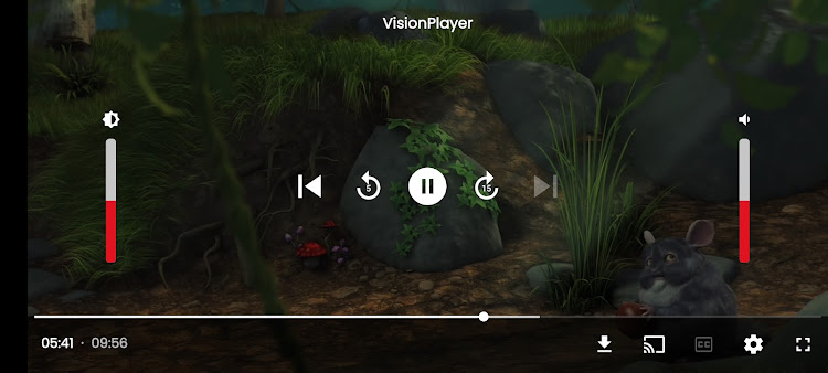 VisionPlayer - Espelhe e Baixe - 1.0.4 - (Android)