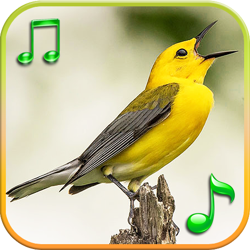Birds Sounds Ringtones 1.5 Icon