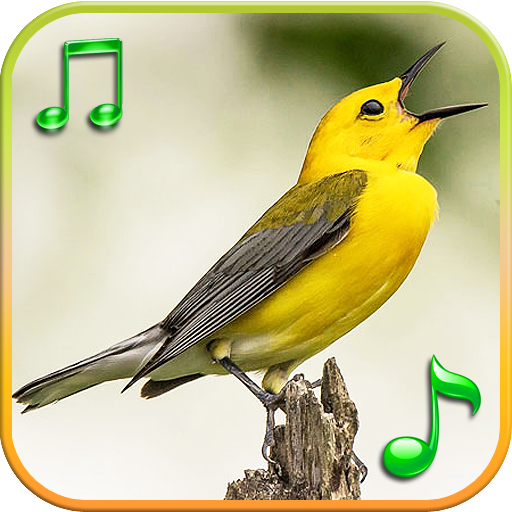 Birds Sounds Ringtones  Icon