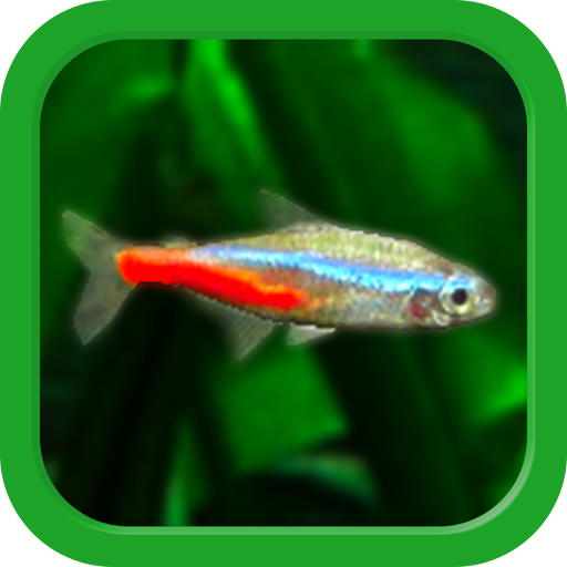 Tropical Aquarium - Mini Aqua  Icon