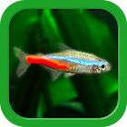 Tropical Aquarium - Mini Aqua 3.80