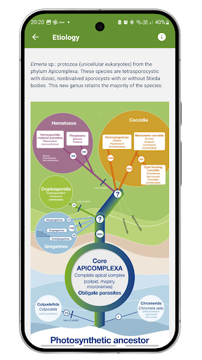 Integritas Coccidiology