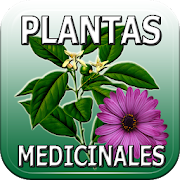 Plantas y Frutas Medicinales