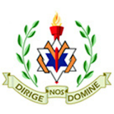 DCS Cork icon