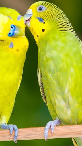 Romantic images GIF, Love pictures, Love wallpaper