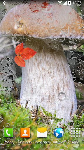 Android application Autumn Wallpaper screenshort