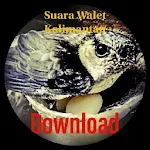 Cover Image of Unduh SBWK - Suara Burung Walet Kalimantan 14 APK