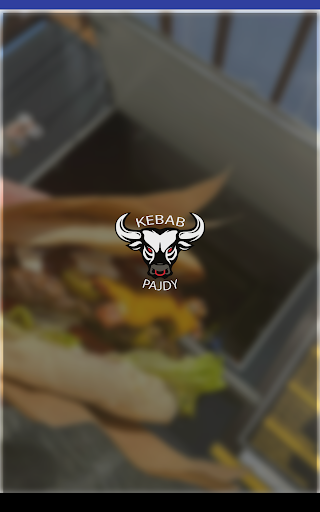 Kebab u Pajdy Gliwice