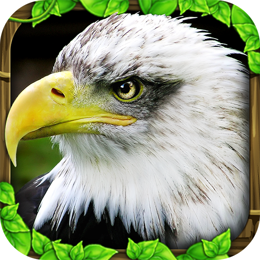 Eagle Simulator™ 3.0 Icon