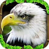 Eagle Simulator™ icon