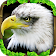 Eagle Simulator™ icon