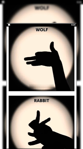Hand Shadow Beginners Guide Screen 3