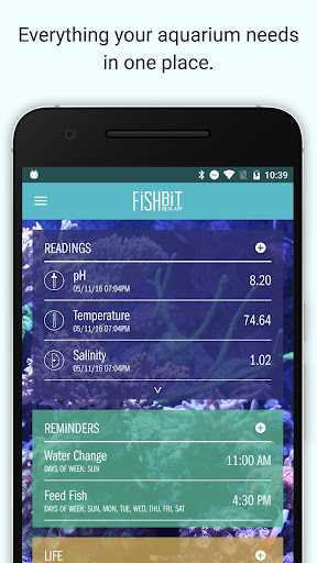 Vista previa de la aplicación