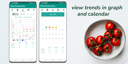 Blood Pressure Diary Screen 2