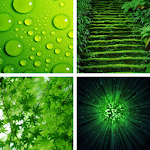 Cover Image of ดาวน์โหลด Green HD Wallpapers  APK