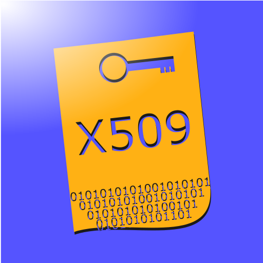 X509 сертификат. Формат сертификата x.509. X509 Certificate icon. TLS Certificate x509.