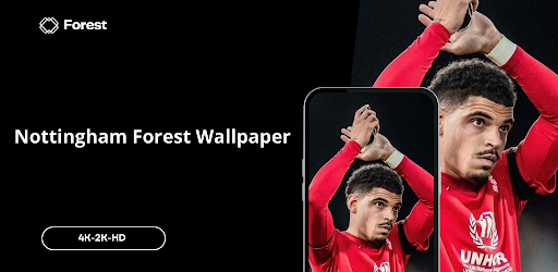Nottingham Forest Wallpaper