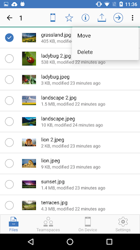 IBM Navigator Mobile