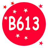 B613 - Vine Selfie Editor icon