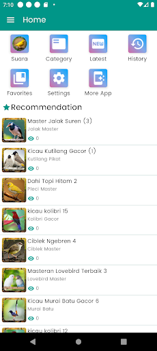 Suara Burung Kenari Gacor