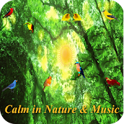 Calm and Relaxation in Nature and Music