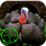 Turkey Hunting Calls