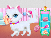 screenshot of Pet Vet Care Wash Feed Animals