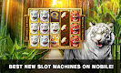 screenshot of Slots Tiger King Casino Slots