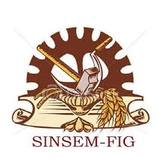 Sinsem Figueirão-MS logo