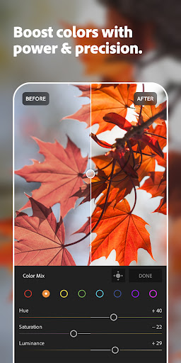 Screenshot Lightroom Photo & Video Editor