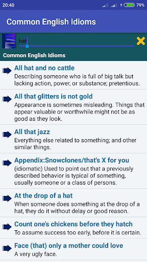 Wow! English Idioms Screen 3