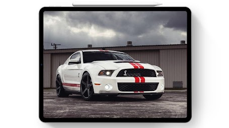 Wallpaper For Cool Mustang Shelby Fans