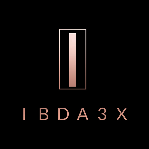 IBDA3X logo