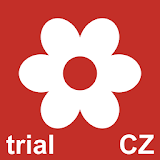 Czech Name Days Trial icon
