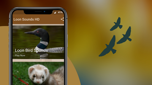 Loon Sounds Screen 2
