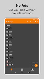 Simple File Manager Pro