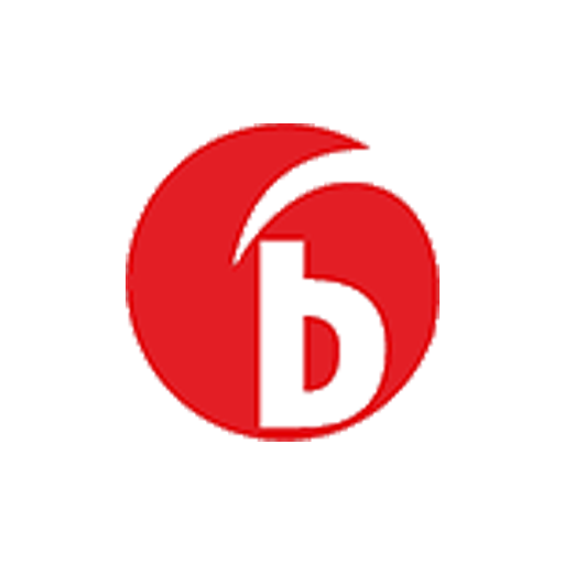 Bayraktarlar B2B logo
