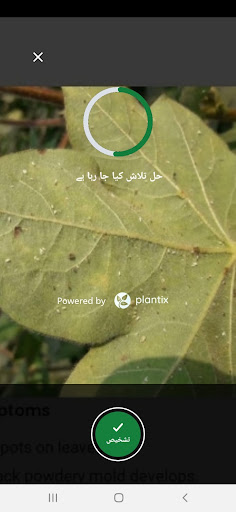 Syngenta Cropwise Grower Screen 2