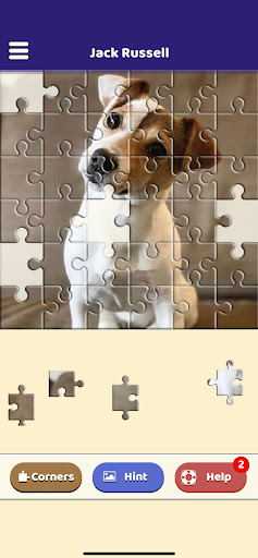 Jack Russell Puzzle Screen 2